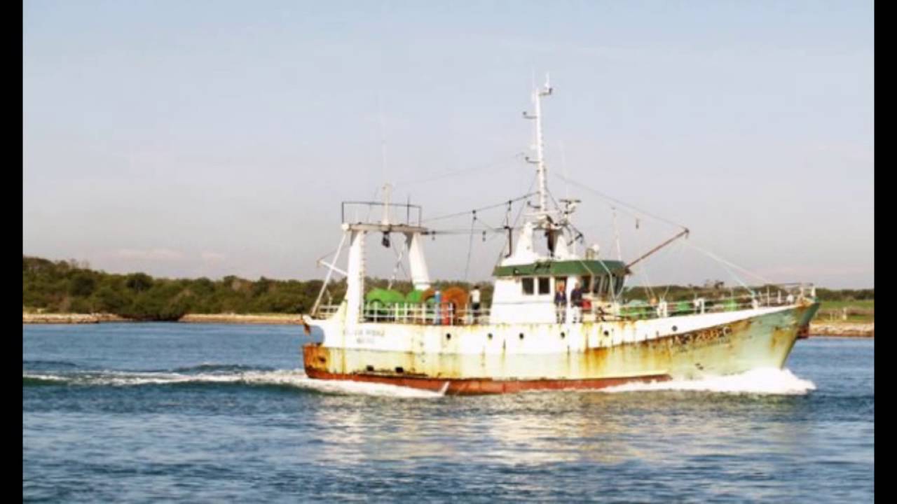 v&aacute;rios tipos de barcos