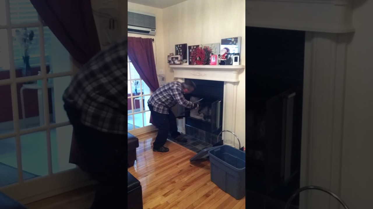 Un oiseau dans la cheminée.