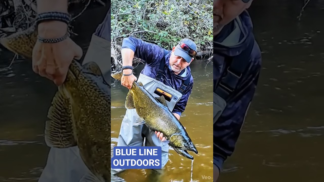 Michigan Salmon fishing with 