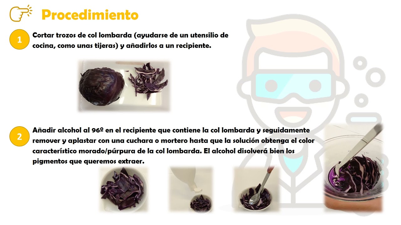 Cómo medir el pH de distintas sustancias con col lombarda