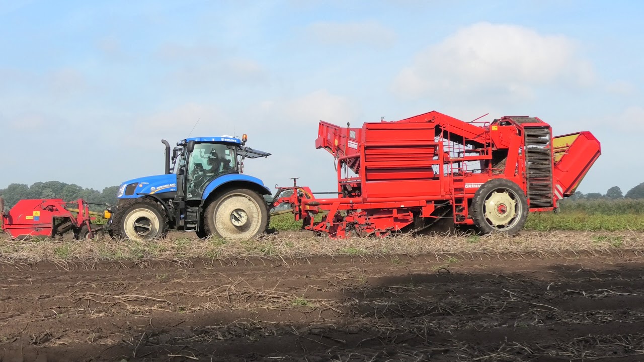 AARDAPPELEN ROOIEN 2020 NEW HOLLAND T 6.120 GRIMME DR 1500