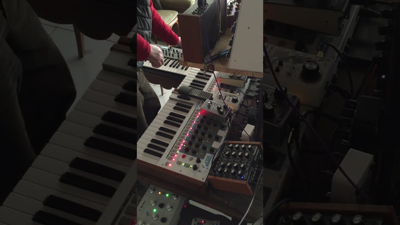 JAMUARY Spleen My /Dark Energy - Ritm2 - MoPho X4 #electronicmusic #music #analogsynth #techno #akai