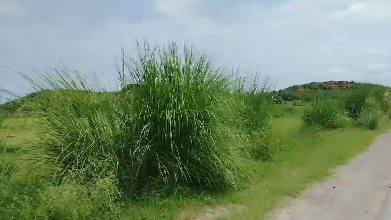 Sarkal Kassar (Chakbeli Khan Road) 
