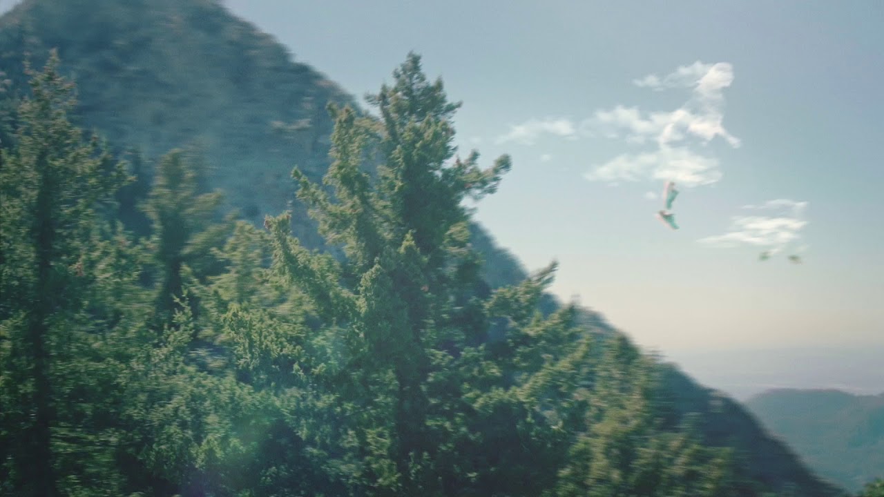 HOKA ONE ONE Fly Collection - Forest