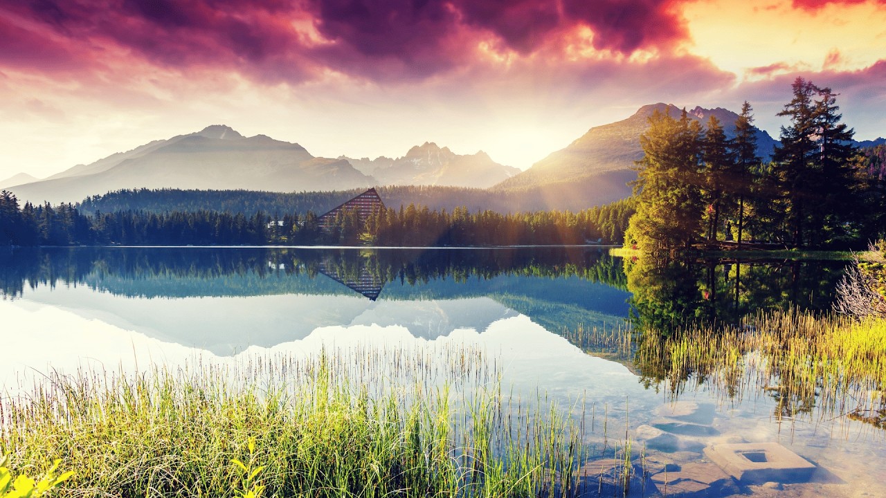 musique relaxante et sons de la nature pour un sommeil profond et apaiser l'esprit 🌿