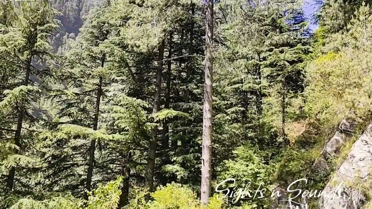 Pipeline Track | Dunga Gali #sightsnsounds