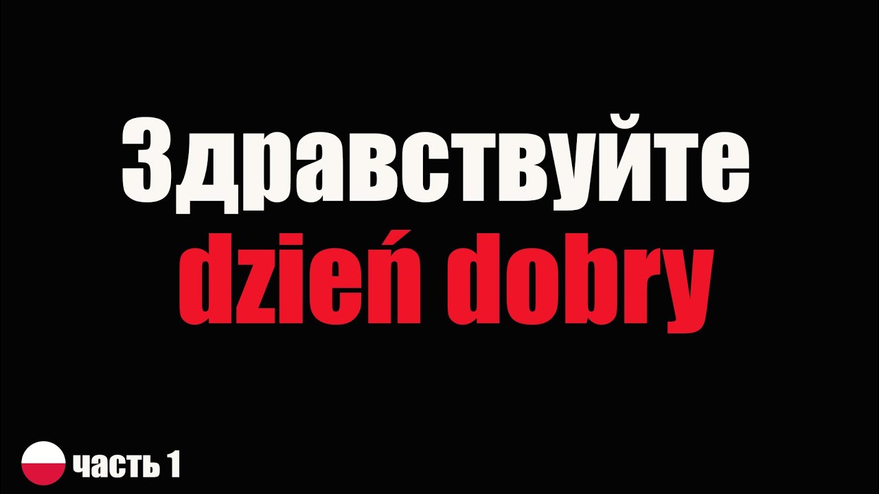 100 Польских слов и фраз для начинающих /  Jezyk polski dla obcokrajowców
