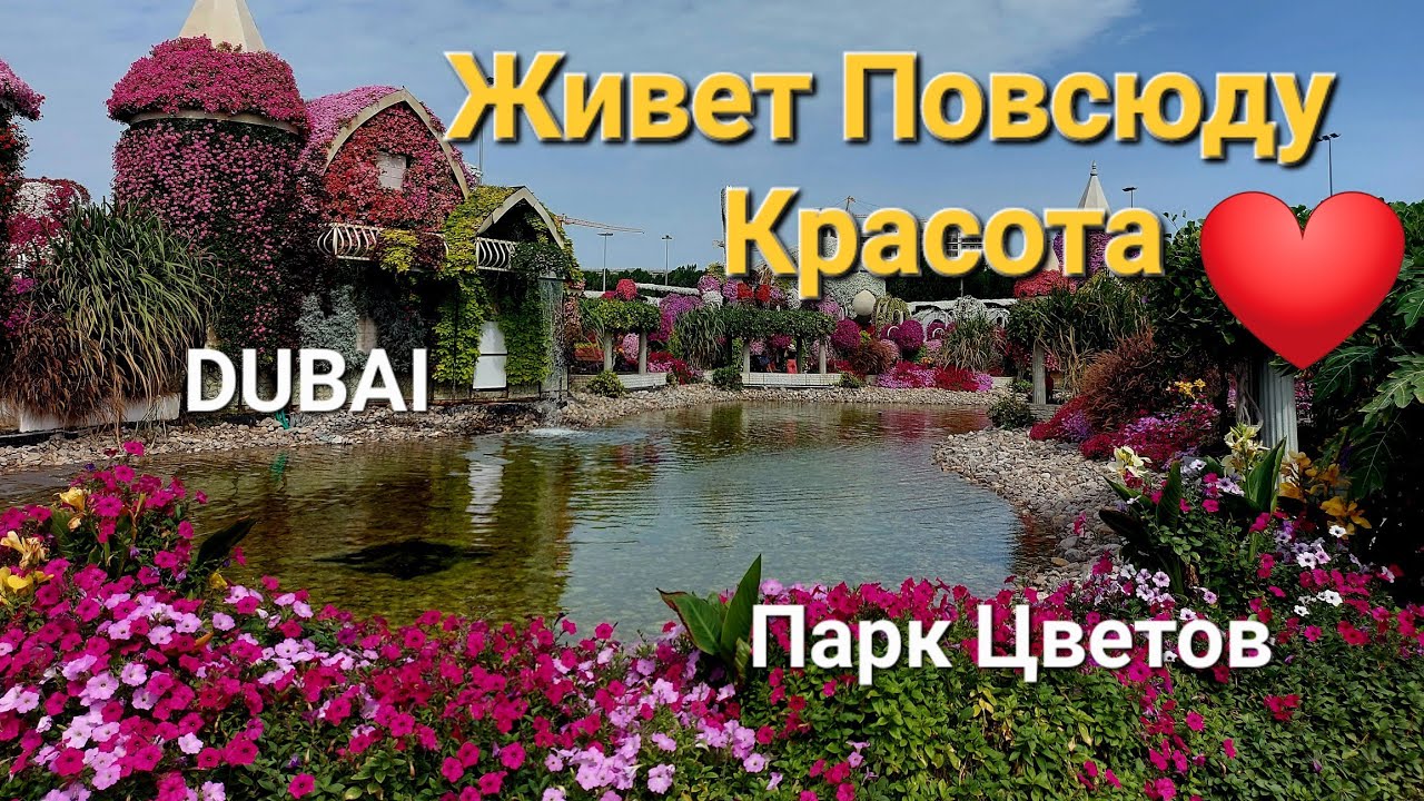 Живет повсюду красота!Парк цветов.Dubai.