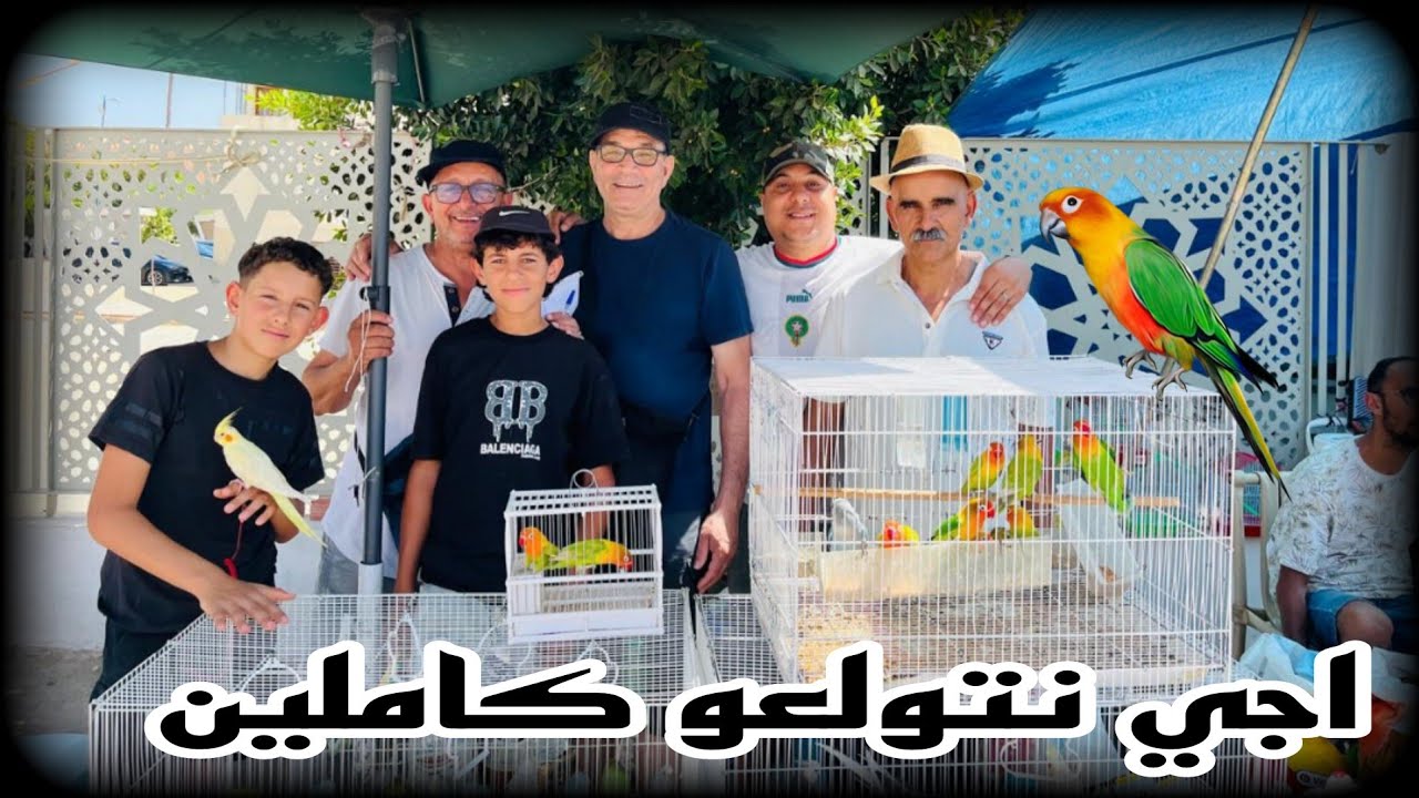 مرحبا بكم 🤩في سوق الطيور🦜🦜 بمدينة مكناس 🇲🇦اجي نتولعوا كاملين:0619227462