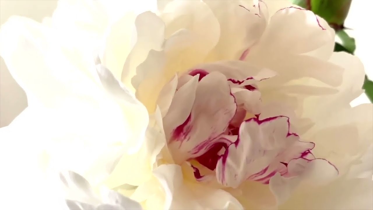 channeled meditation - #light and Not-light - Licht und Nicht-Licht