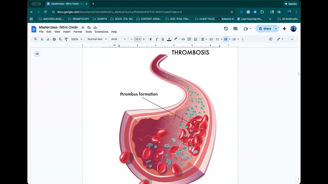 The #1 Molecule for Blood Flow, Energy, and Vascular Youth (Nitric Oxide Masterclass)