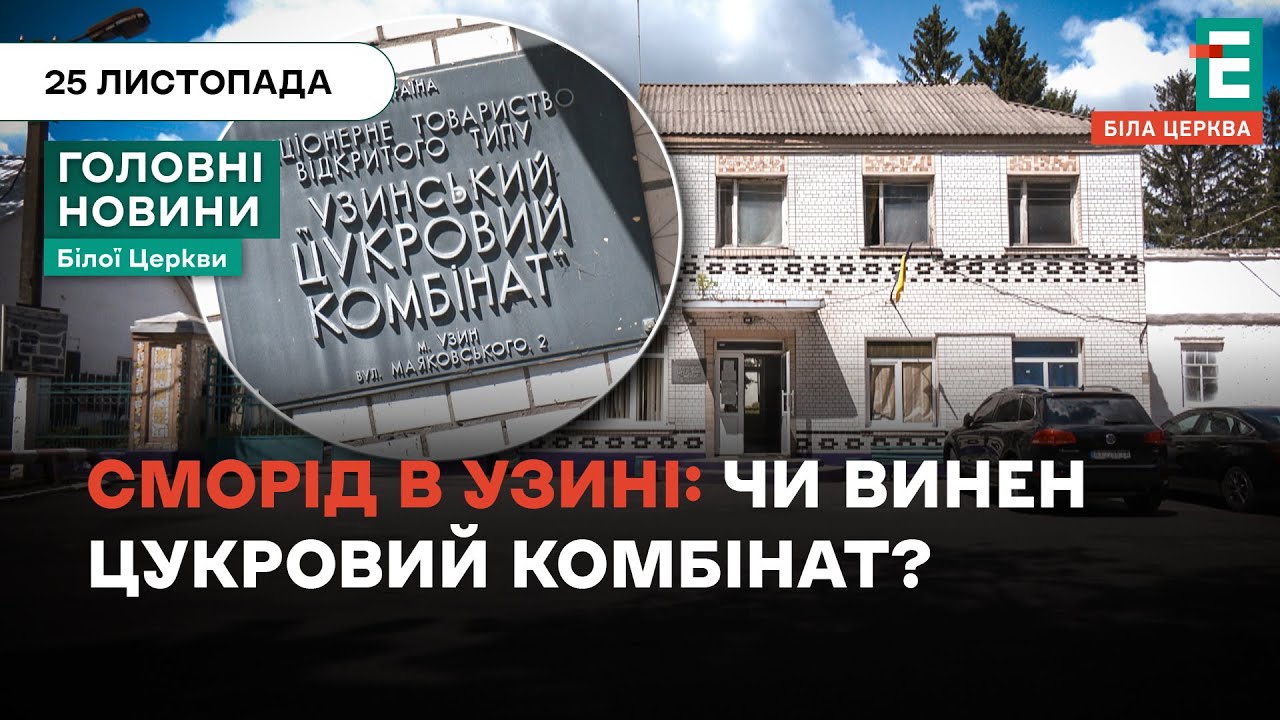 Сморід, відходи та штрафи: як працює комбінат в Узині? | НОВИНИ 25.11