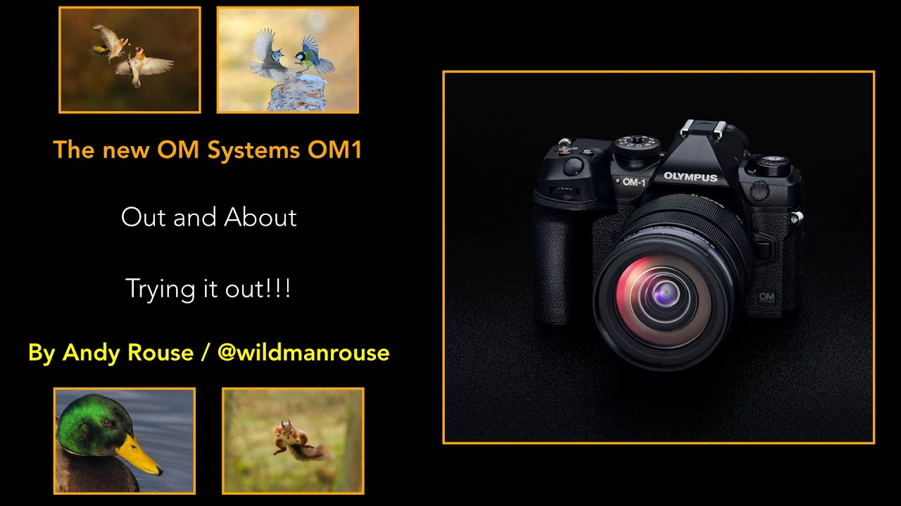 Выходите на улицу с OM Systems OM1