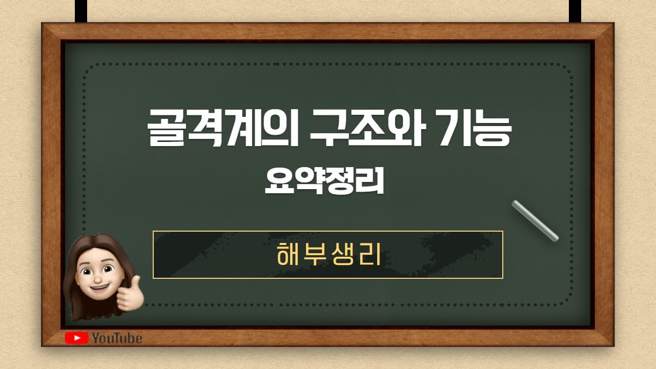 [해부생리]골격계의 구조와 기능