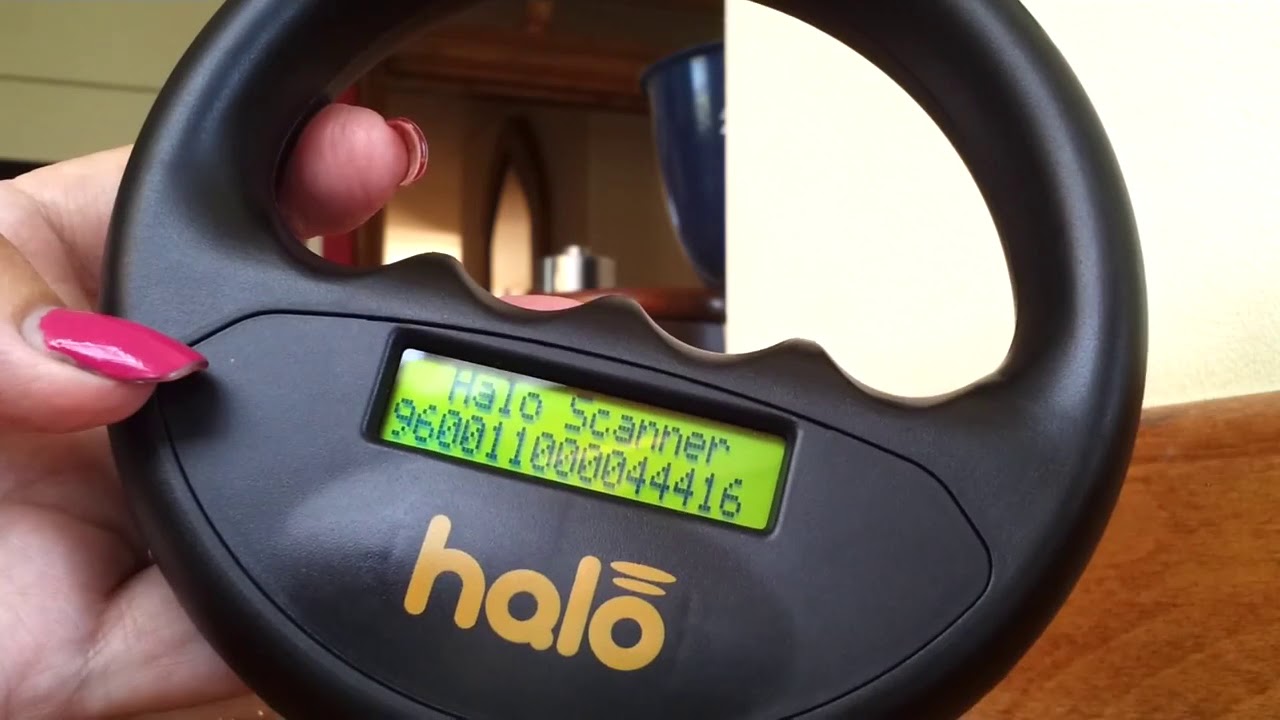Halo Microchip Scanner Operation