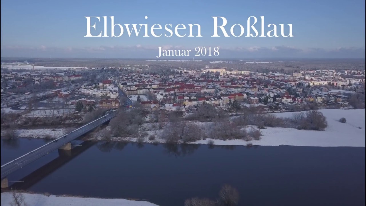 Elbwiesen Ro&szlig;lau Januar 2018