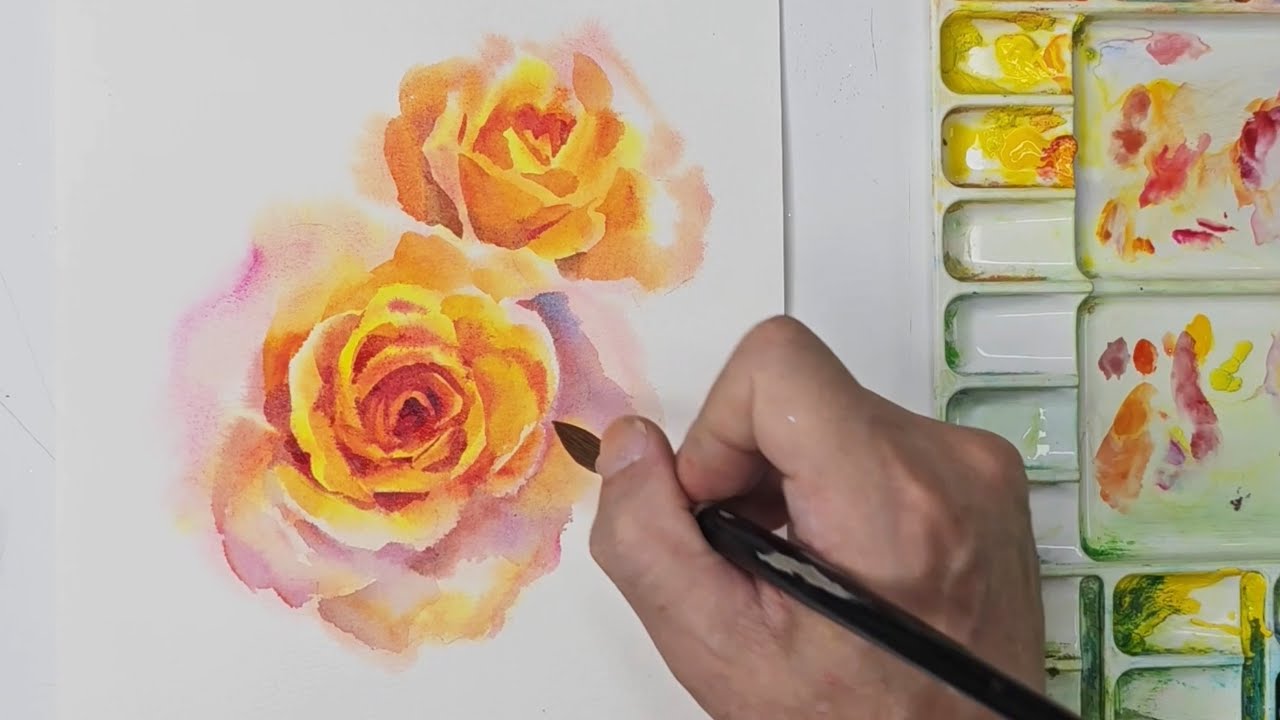 水彩畫玫瑰How to  roses without drawing in watercolor