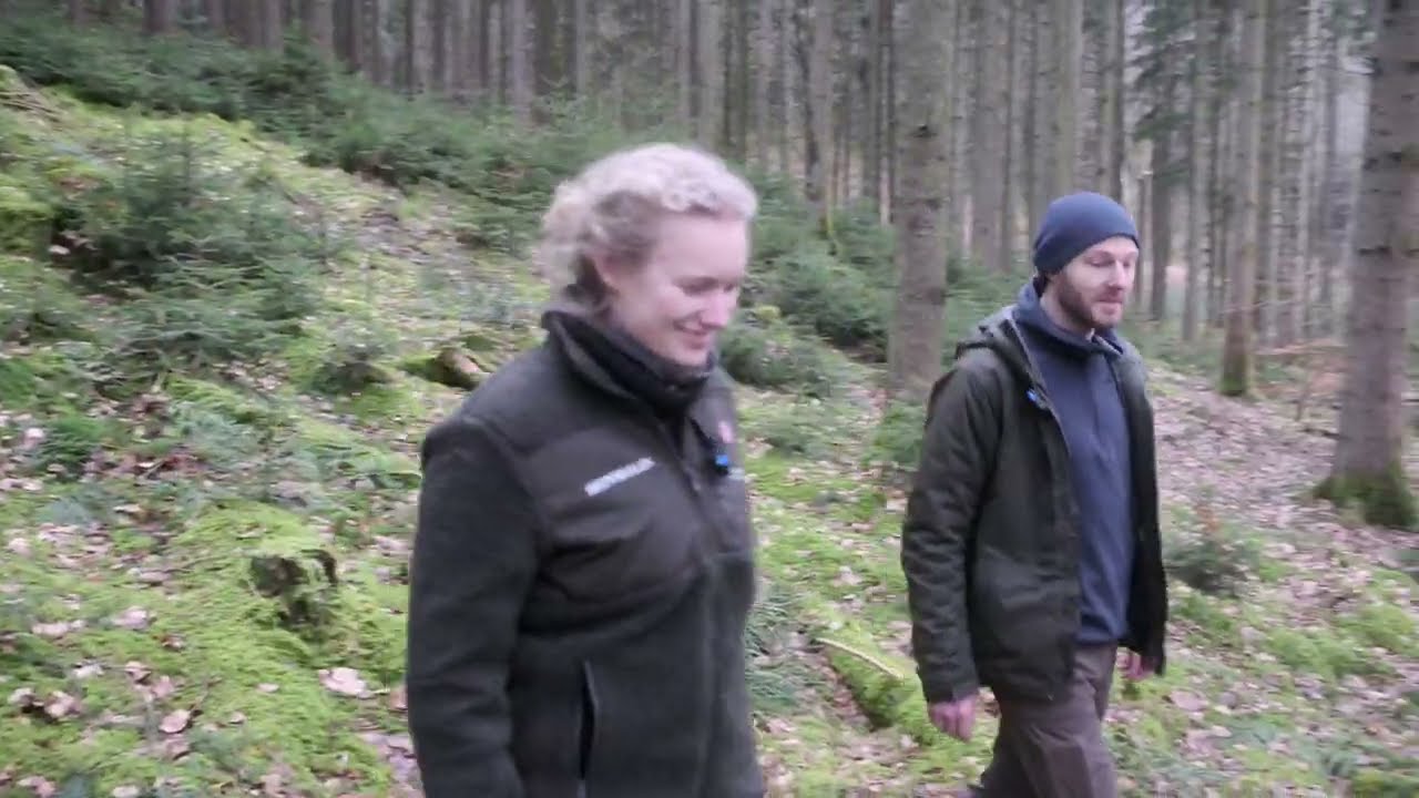 Hvorfor blive skov- og landskabsingeni&oslash;r?