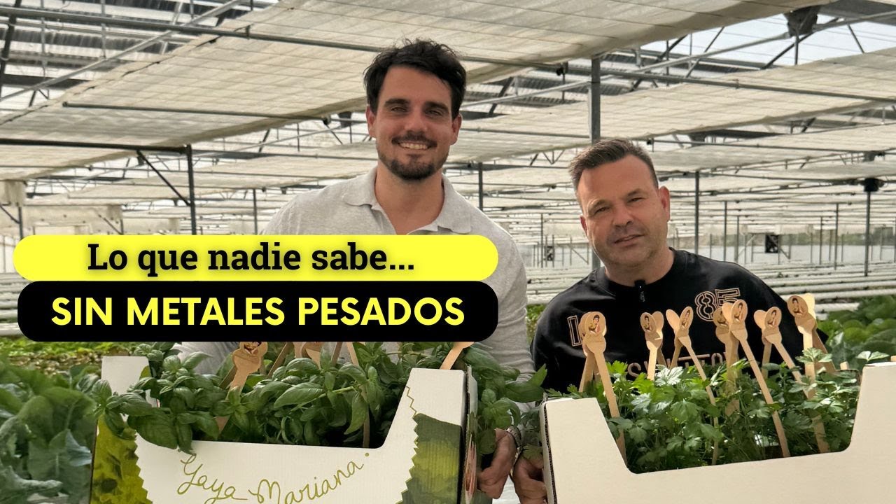 La verdad de las ensaladas hidropónicas de José Elías