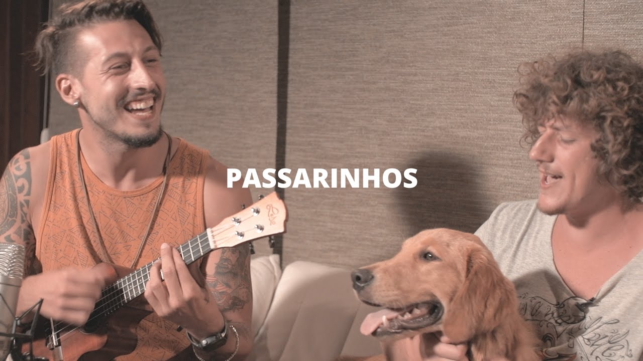 Passarinhos - Emicida e Vanessa da Mata (Pedro Schin & Leash cover ac&uacute;stico) Nossa Toca