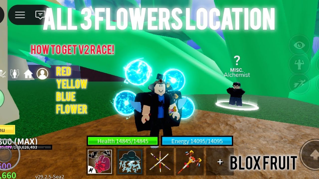 How to Get RACE V2 in Blox Fruit! ⚡️(Find ALL 3 Flowers Location)