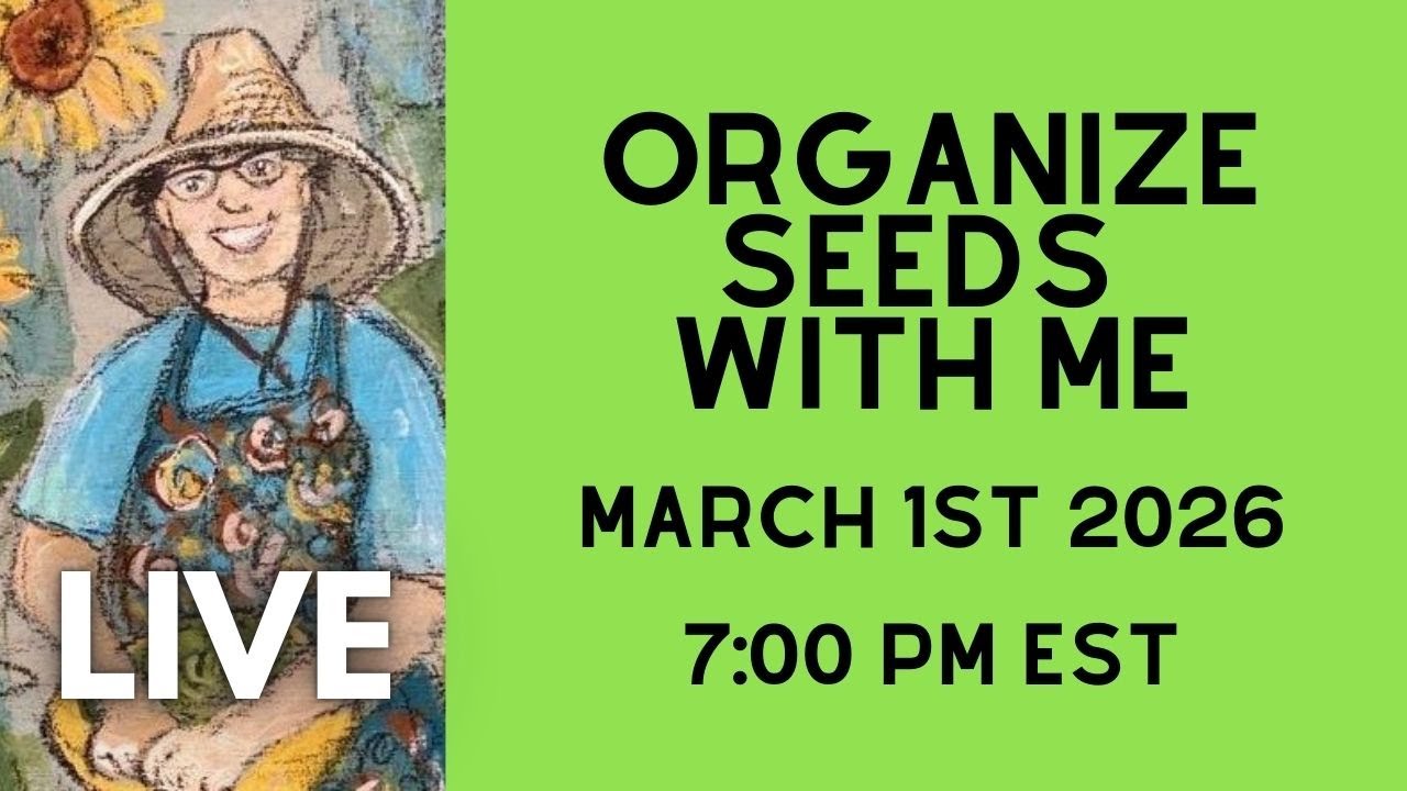 Live Seed Organization - Organize with Me - March 1st - 7PM ET