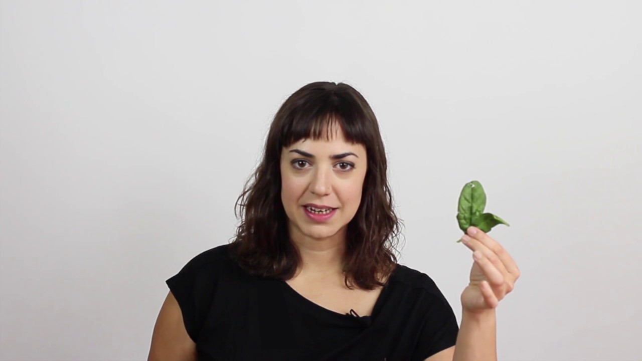 ¿Por qué son verdes las hojas? Experimento cromatografía espinacas