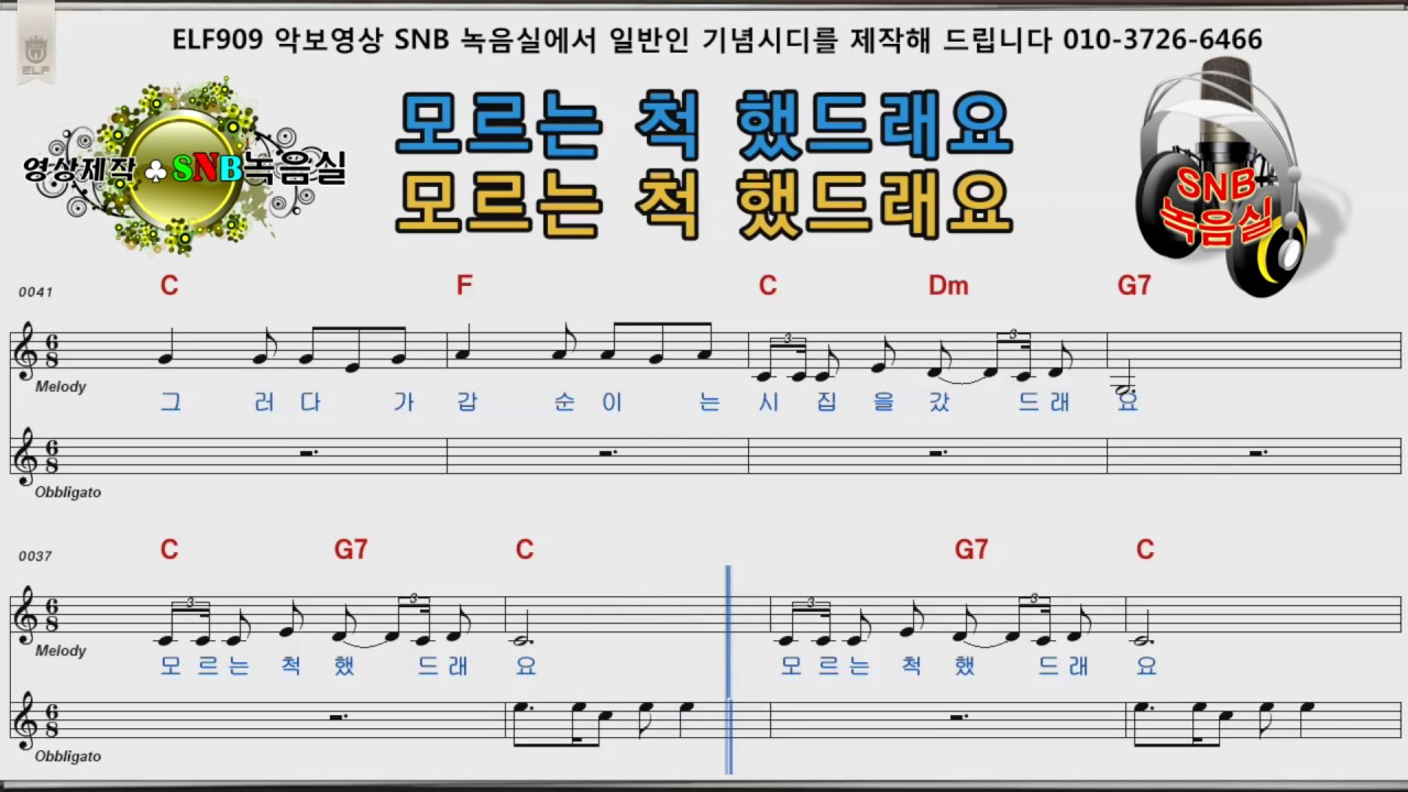 갑돌이와갑순이 김세레나