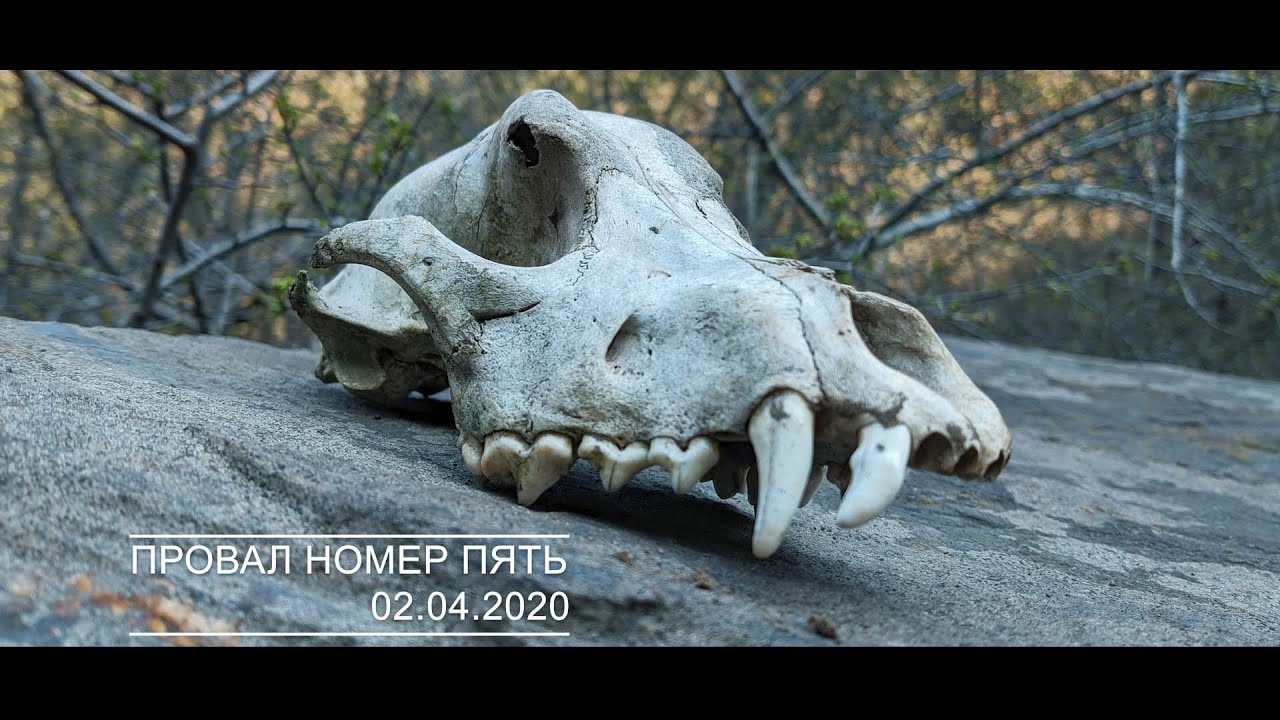 Провал номер пять. Провал Орджоникидзе. Кривой Рог.