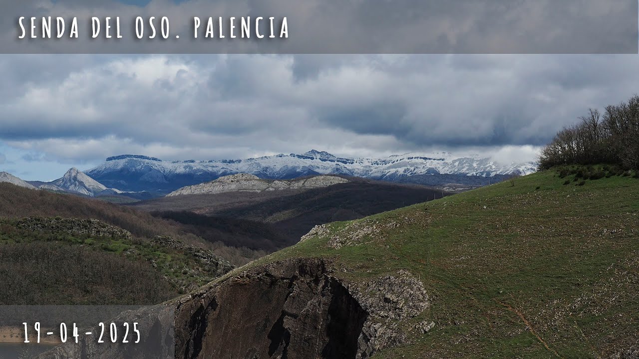 Senda del Oso. Palencia - 19 abril 2025 - Roteiros Galegos