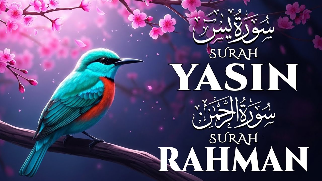 Surat Yasin (سورة يس) Surat Rahman (سورة الرحمن) | Bacaan nyang lagak .All Recitation