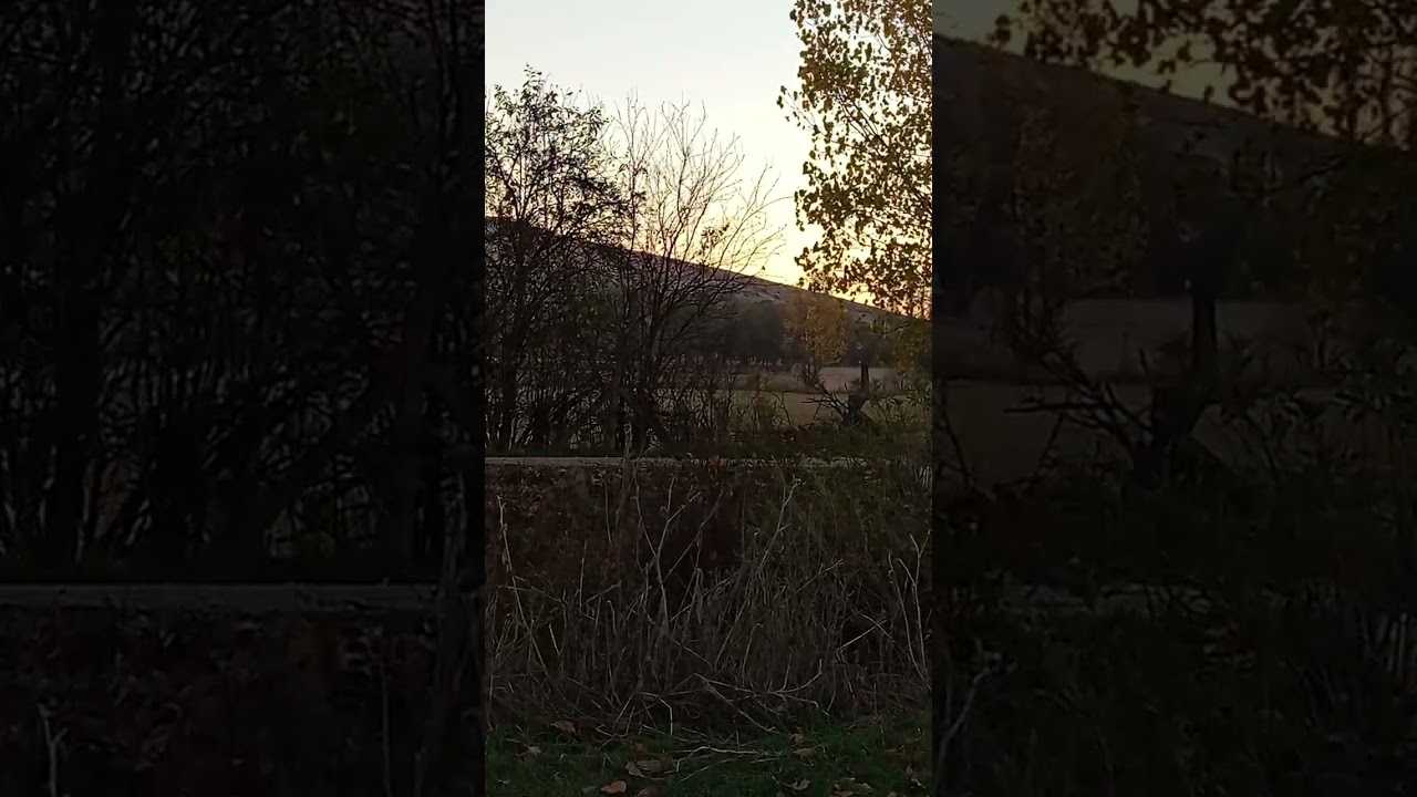 Koyunoğlu Köyü Tanıtımı 1
