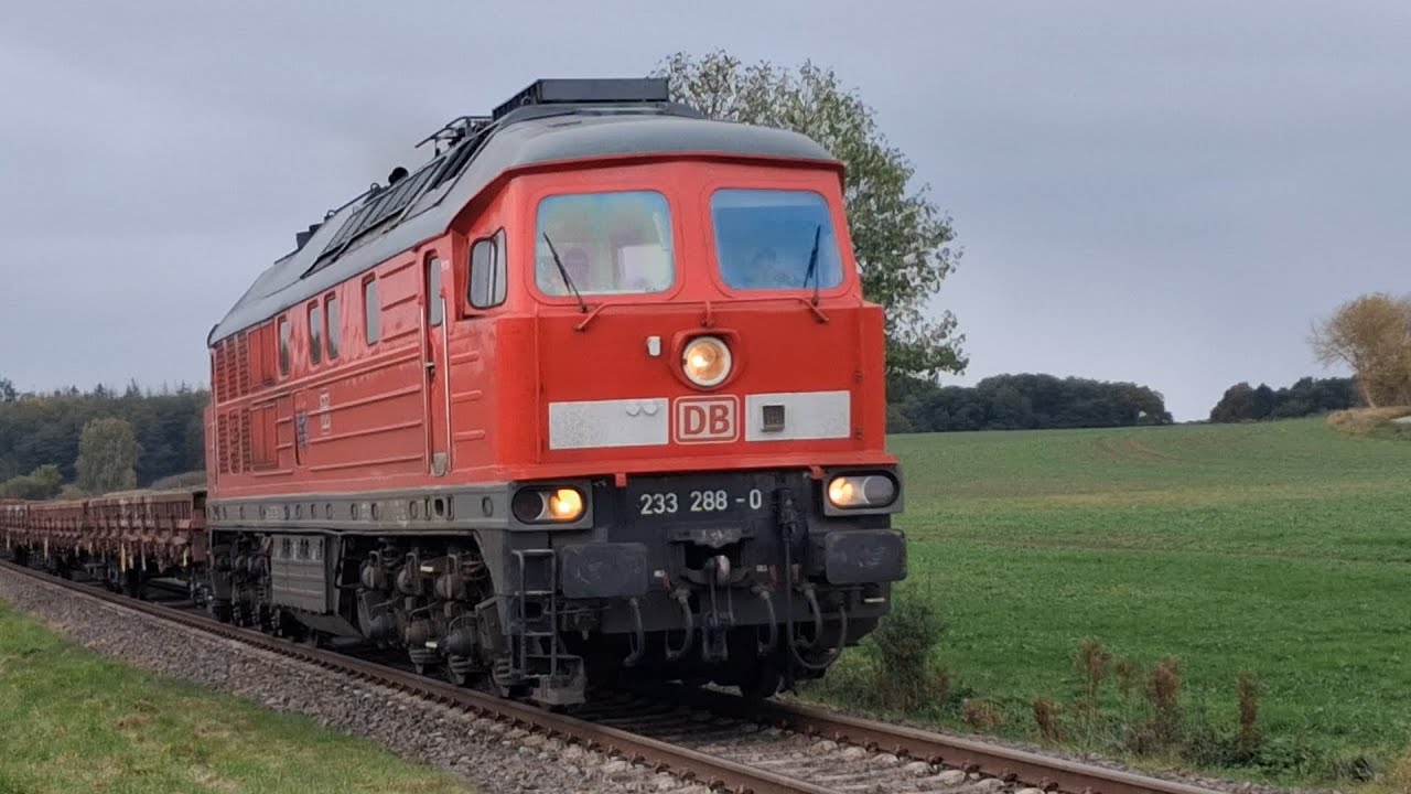 Zugsichtungen vom 15. - 23. OKTOBER 2025. U.A. in Wuhlheide, Rostock und Kargow. 