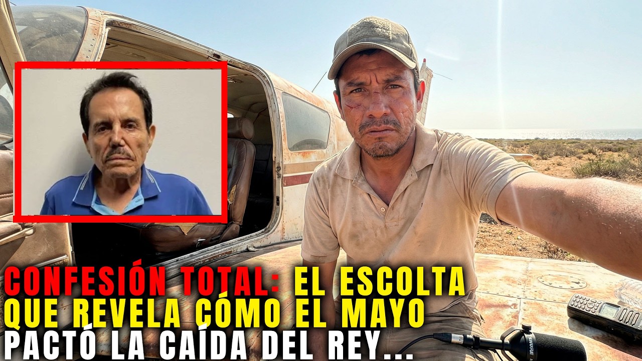 Ex Escolta de El Mayo: REVELA que ZAMBADA entregó a su propio HERMANO para salvar al CARTEL