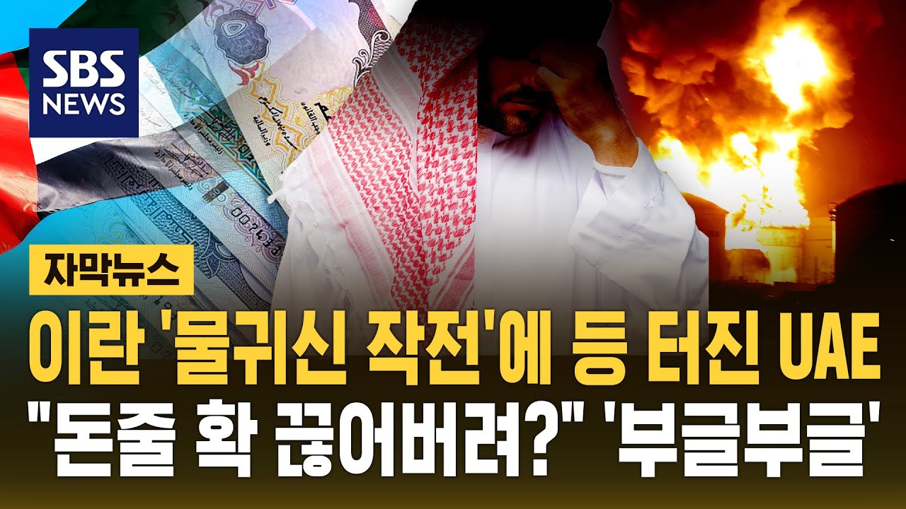 이란 '물귀신 작전'에 등 터진 UAE…