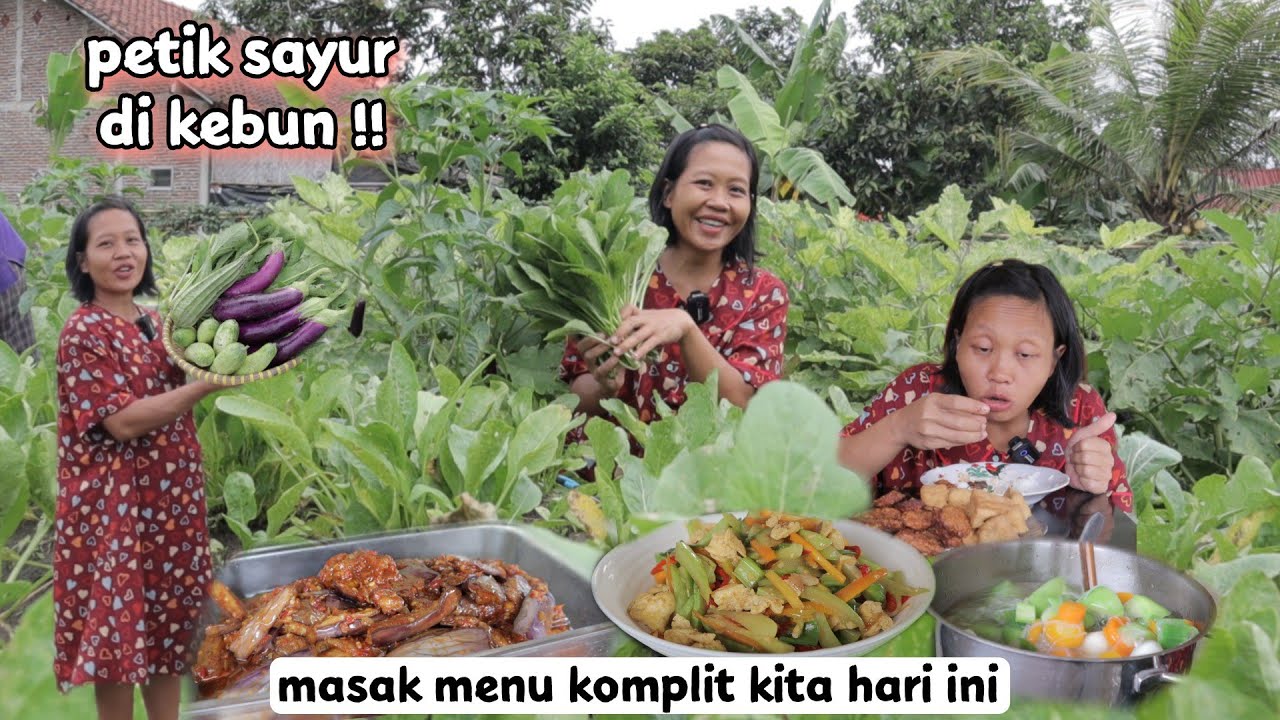 petik sayuran buat menu masak kita hari ini - terong oyong timun caisim