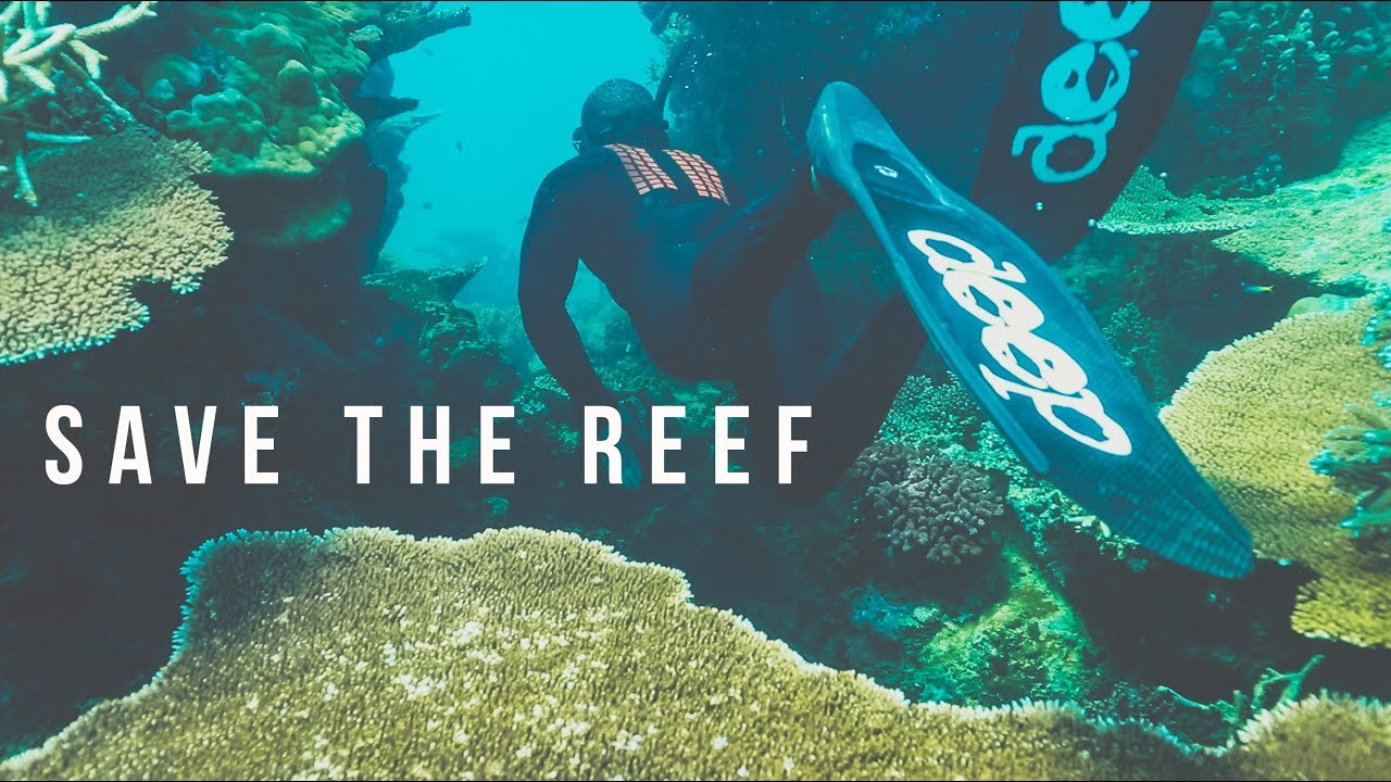 OPERATION SAVE THE REEF
