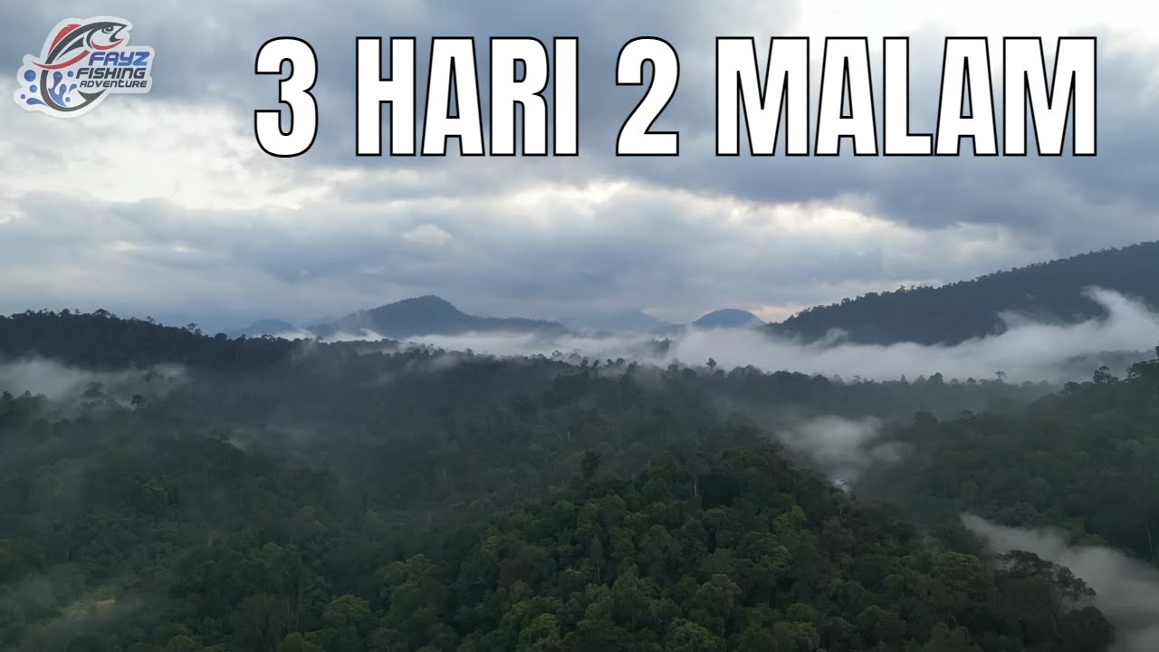 FISHING CAMP : LEZATNYA IKAN GODFISH DI MUKBANG RAMAI RAMAI