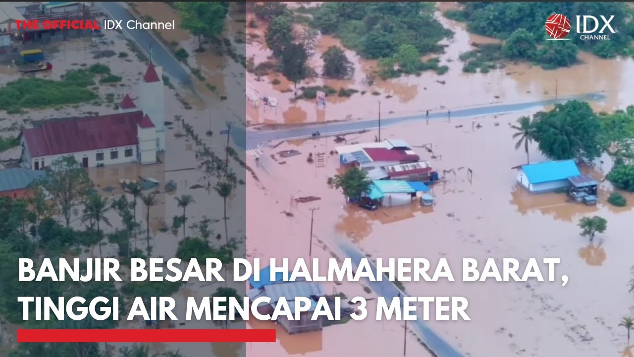 Banjir Besar di Halmahera Barat, Tinggi Air Mencapai 3 Meter | IDXC UPDATE
