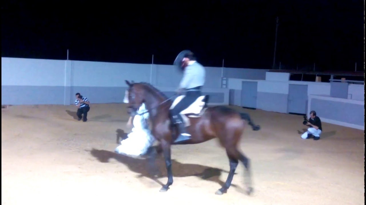 Baile con caballo - Boda Natalia y Luis