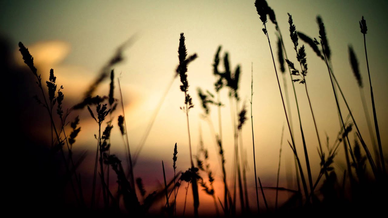 Elsie - Silver Springs [HD] + lyrics