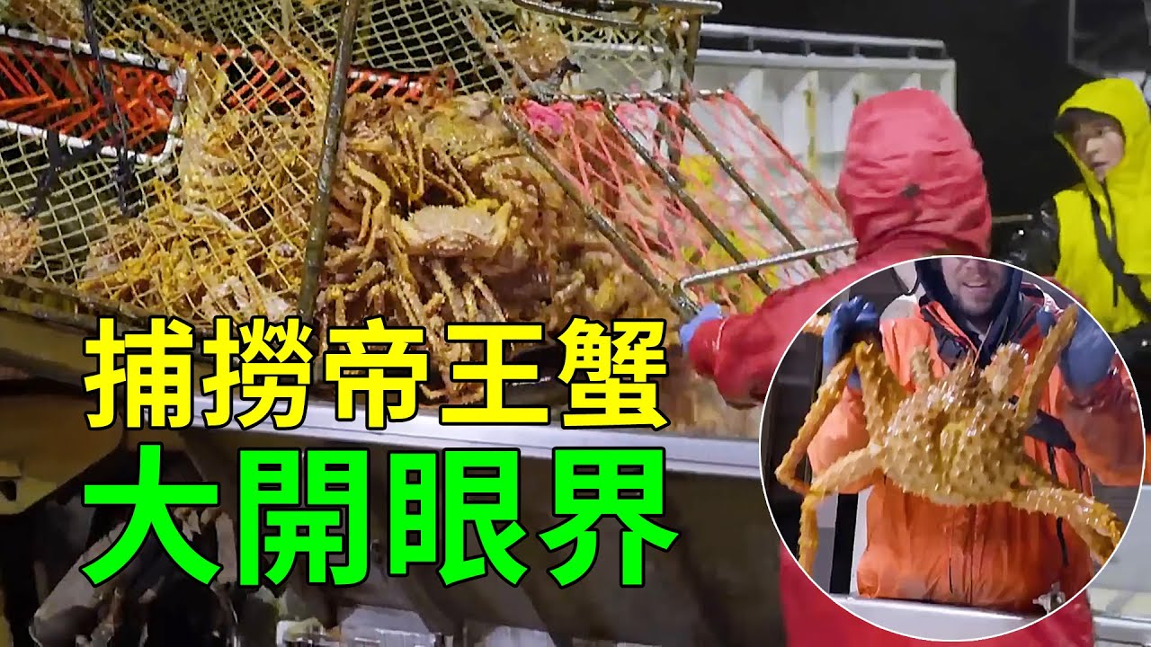 出海捕撈可怕的帝王蟹，終於明白