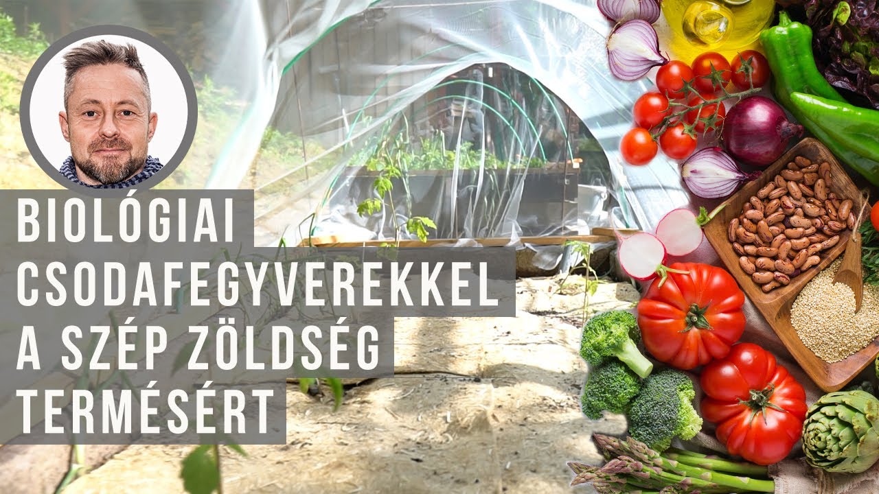 Biológiai csodafegyverekkel a bőséges zöldség termésért| kert TV