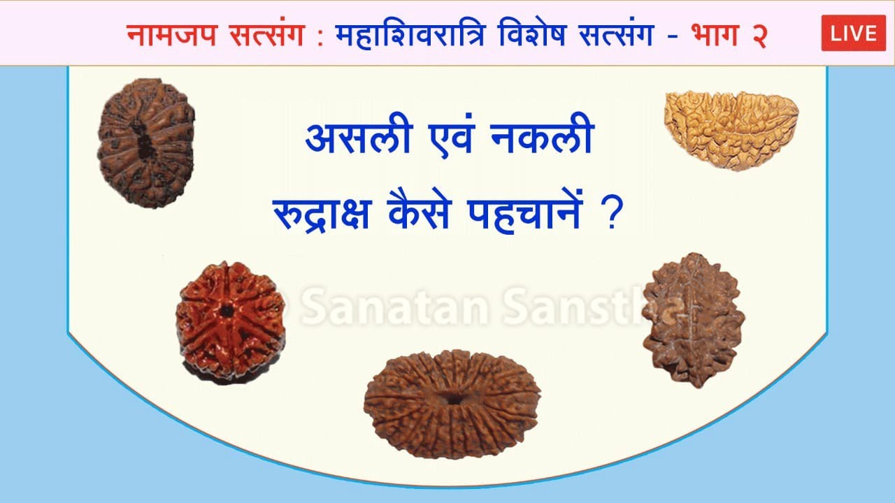 नामजप सत्संग : महाशिवरात्रि विशेष - असली एवं नकली रुद्राक्ष कैसे पहचानें ?