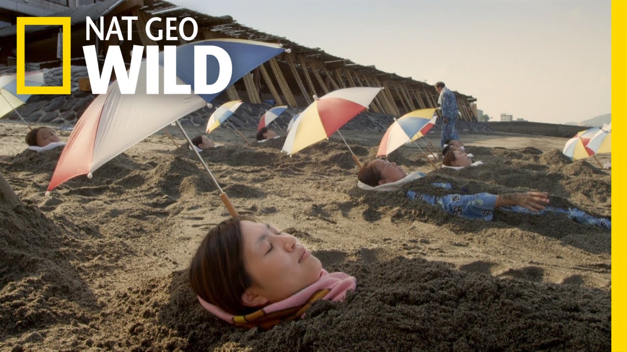 A Restoring Steaming Sand Bath | Wild Japan