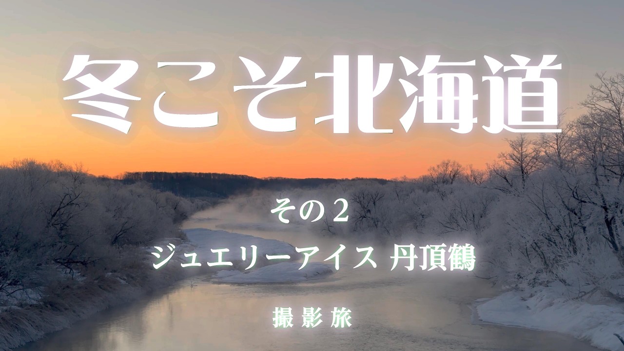 ４K 冬の北海道 撮影旅２ ジュエリーアイスと丹頂鶴
