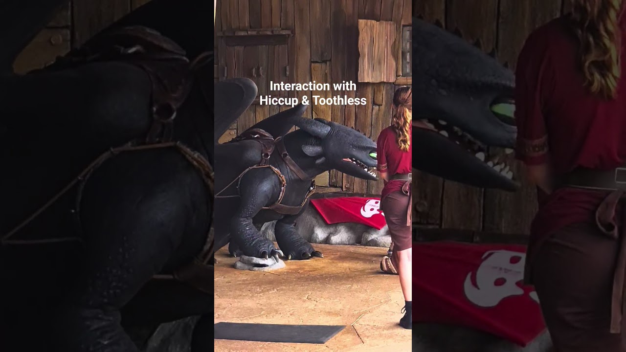 Hiccup & Toothless meet and greet at Isle of Berk 