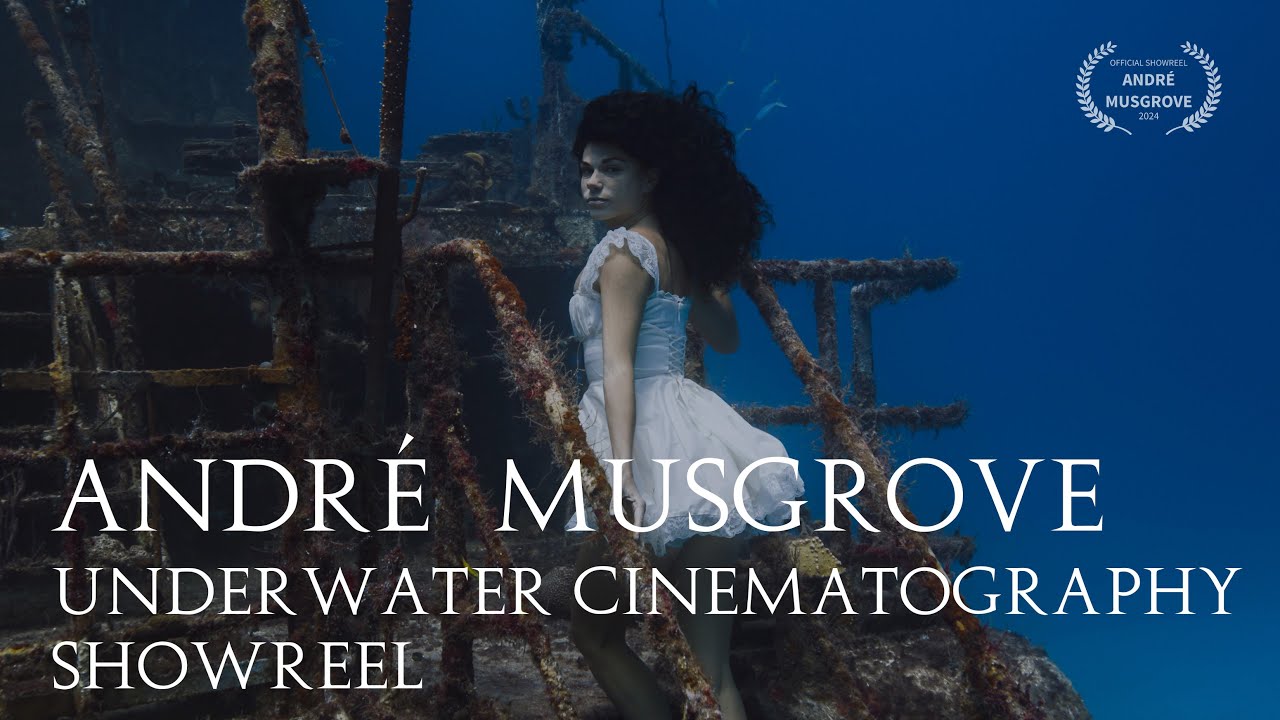 Underwater Cinematography Showreel 2024 | Andr&eacute; Musgrove