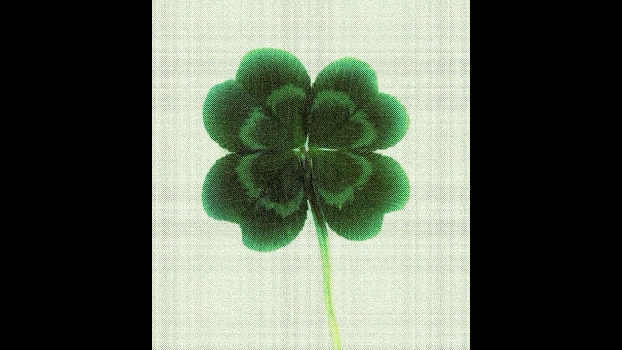 [FREE] STEVE LACY x MALCOLM TODD TYPE BEAT | No Luck