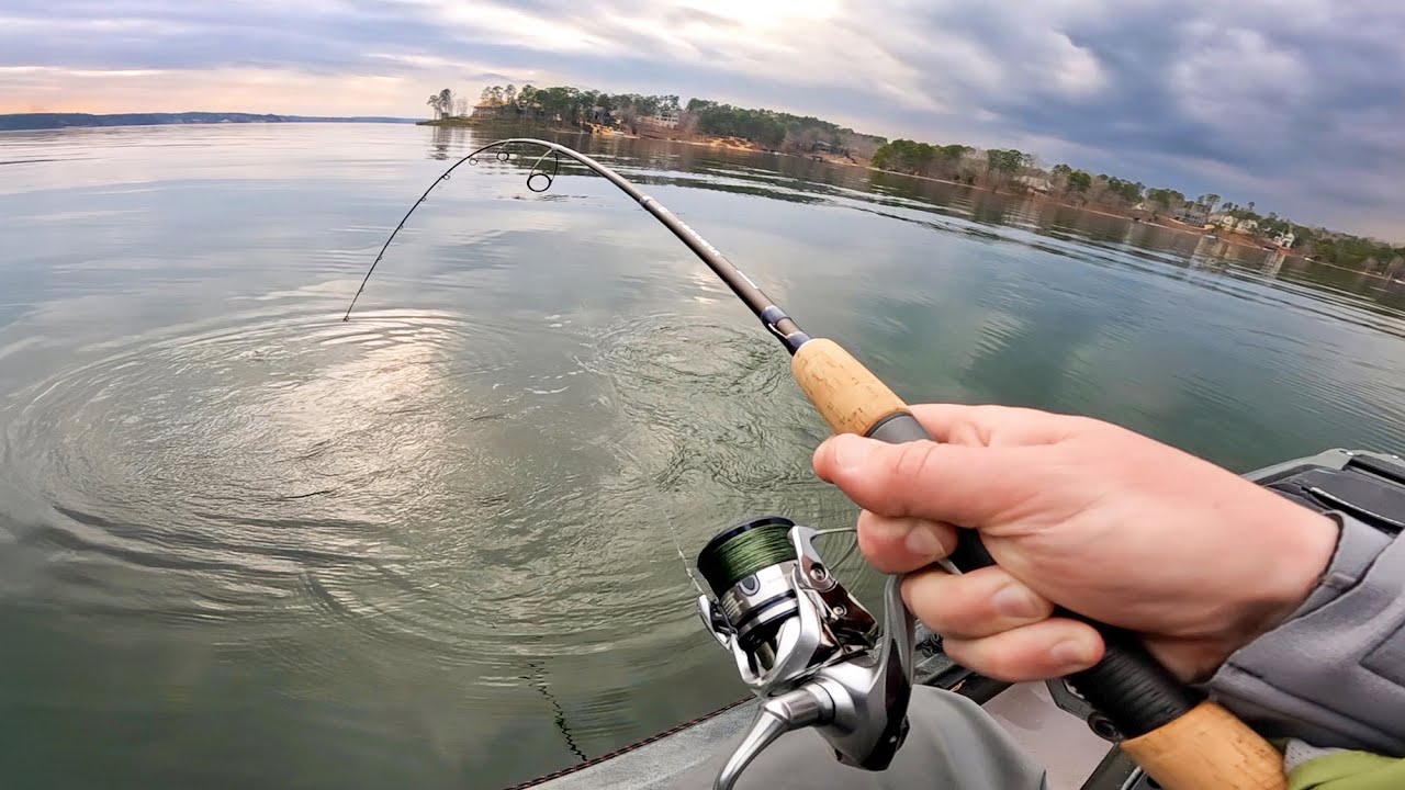 Kayak Fishing for HYBRID STRIPED BASS in Late Winter (+ Bonus Largemouth)